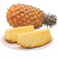 海南金钻凤梨 手撕凤梨牛奶凤梨 无眼菠萝 新鲜当季水果批发5斤装