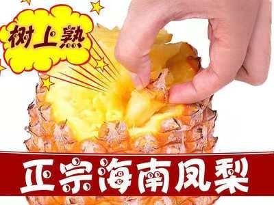 海南金钻凤梨 手撕凤梨牛奶凤梨 无眼菠萝 新鲜当季水果批发5斤装图2