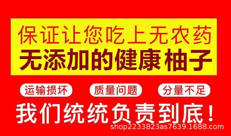 微信图片_20200826133319.jpg