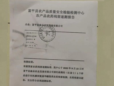 产地货源新鲜水果陕西红富士苹果当季水果整箱水晶红富士苹果图2