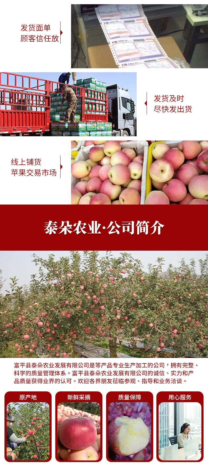 苹果1_01