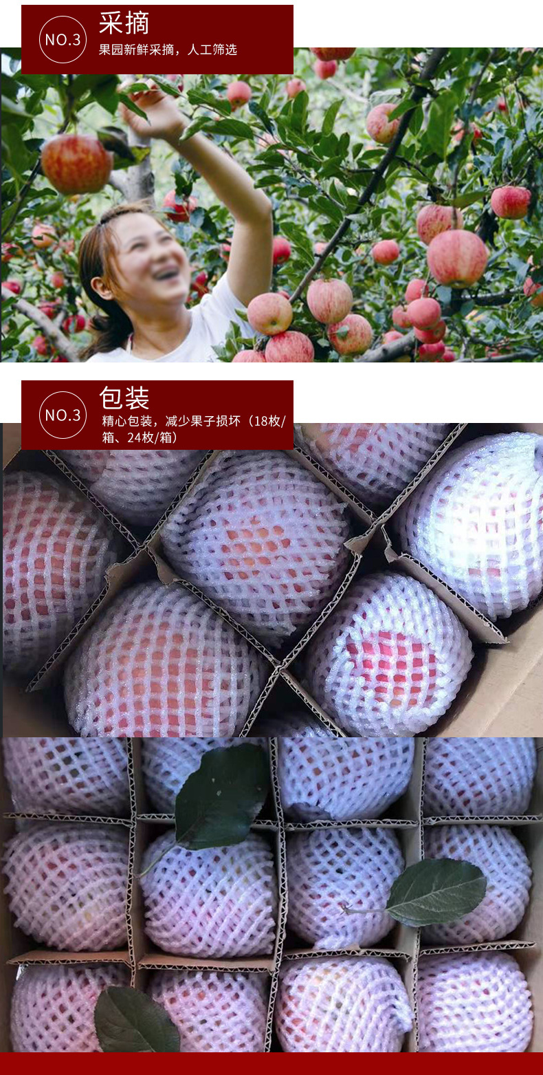 苹果1_04