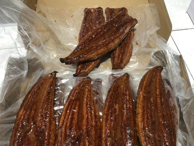 打样厂家供应东源裸整鳗加热即食烤鳗鱼 寿司开袋加热即食烤鳗鱼图1