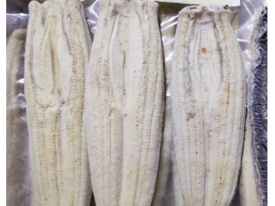 打样 东源食品厂家供应白烧原味烤鳗 日式风味腹开寿司白烧烤鳗鱼图5