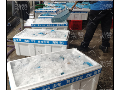 定制海阳生蚝套标50斤全国发货乳山牡蛎全年供应养殖户一手货源图3