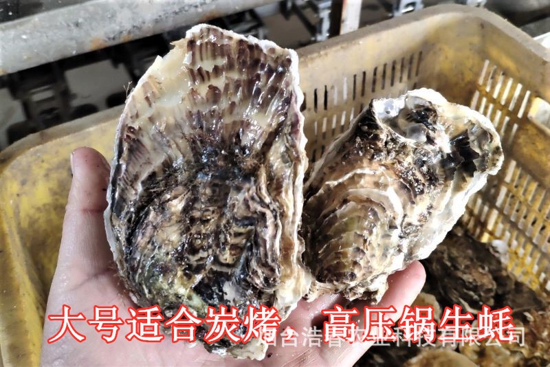 1571234922718_副本