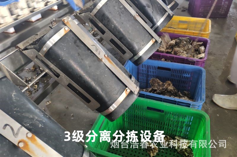 IMG_20191125_115452_副本