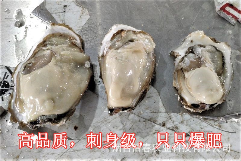 微信图片_20191127101236_副本
