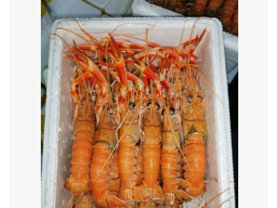 威海海龙虾鳌虾海鲜水产图3