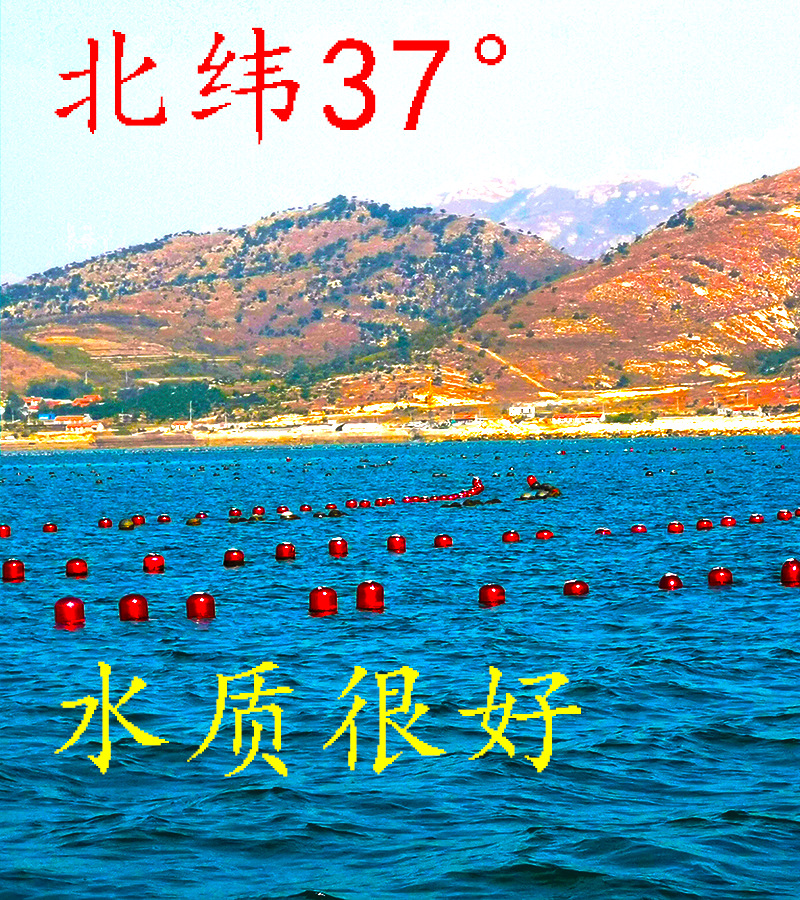 北纬37水好