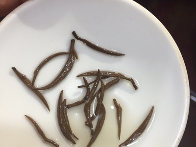 新茶 明前芽中芽 武夷山的金骏眉红茶 汤色透亮批发代发图5