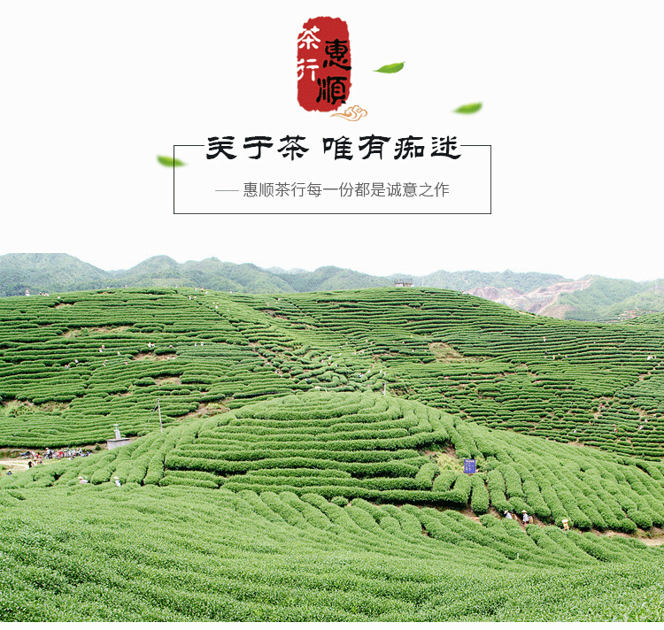 【福安市惠顺茶行】金骏眉04_15