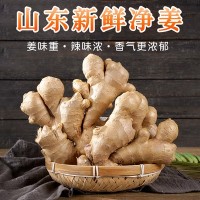 风干姜山东大姜月子姜原产地农家黄姜净重3斤实惠装