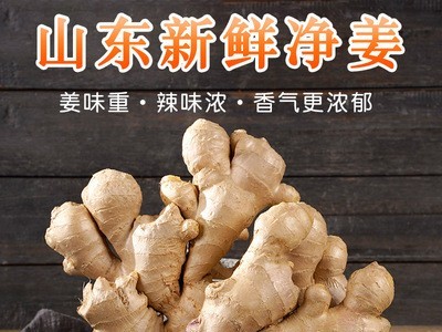 风干姜山东大姜月子姜原产地农家黄姜净重3斤实惠装图3