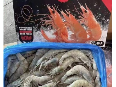 厄瓜多尔白虾 欧玛莎盐冻/水冻大虾原装全规格现货新虾 一手货源图2