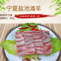礼盒包邮1000克/袋 羊寸排 生鲜牛羊肉宁夏盐池滩羊排 羊肉批发