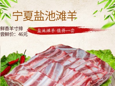 礼盒包邮1000克/袋 羊寸排 生鲜牛羊肉宁夏盐池滩羊排 羊肉批发图4