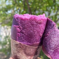 紫罗兰紫薯粉糯香甜紫薯5斤一件代发农家地瓜非越南珍珠紫薯