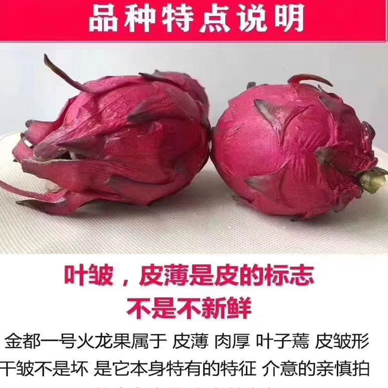 未标题-15