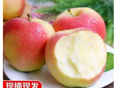 山西嘎啦苹果当季新鲜水果现摘现发整箱5/10斤果园整箱批发图2