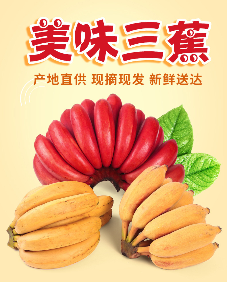 组合香蕉详情001.jpg