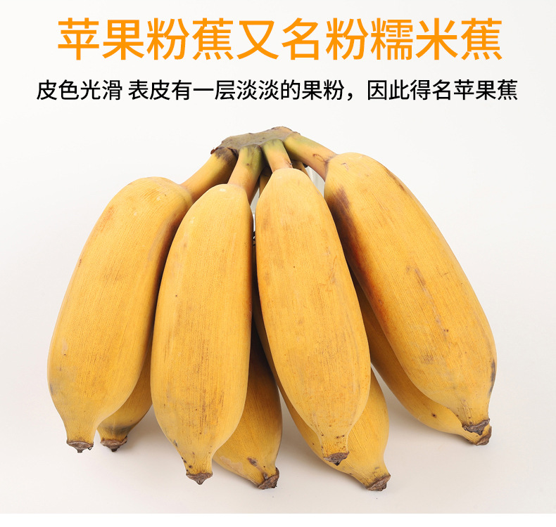 组合香蕉详情002.jpg