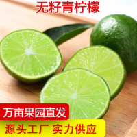 台湾无籽青柠檬金桔小青柠香水柠檬皮薄多汁水果奶茶店用柠檬代发