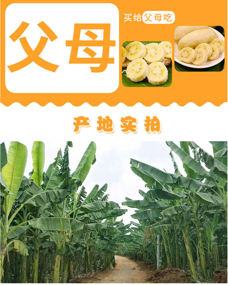 5 - 副本.jpg