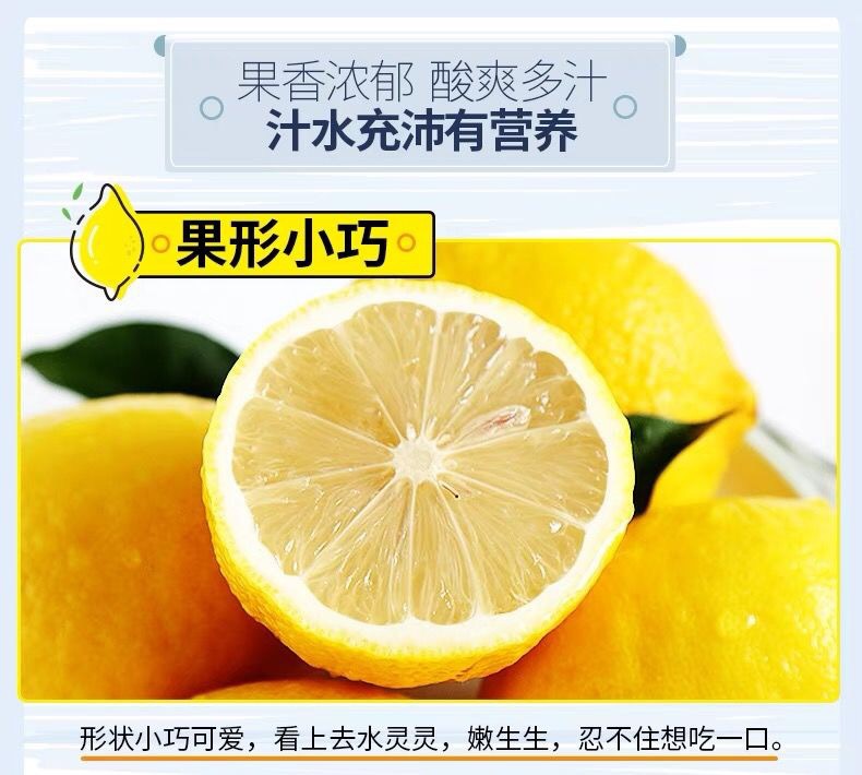 7 - 副本.jpg