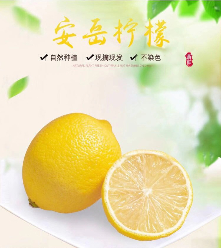 1 - 副本.jpg