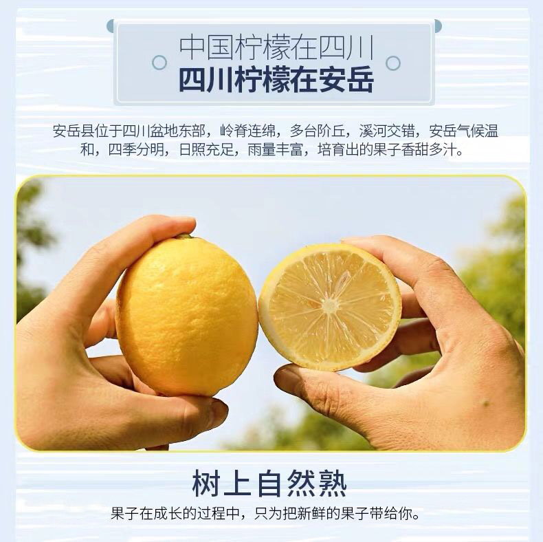 2 - 副本.jpg