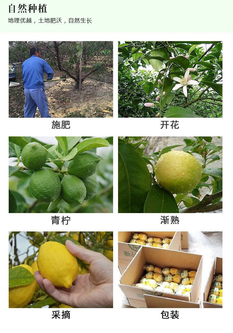 6 - 副本.jpg