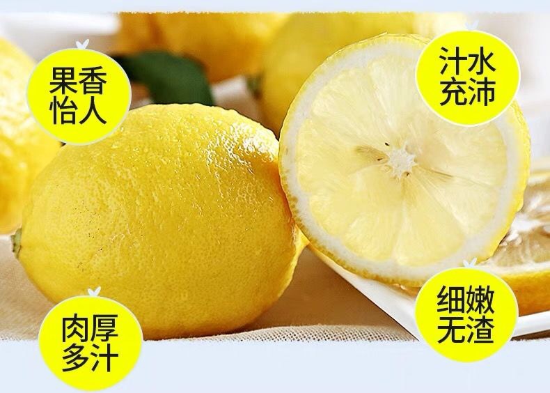 4 - 副本.jpg
