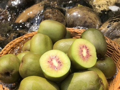 红心猕猴桃5斤大果红心奇异果浦江新鲜水果云南猕猴桃一件代发图4