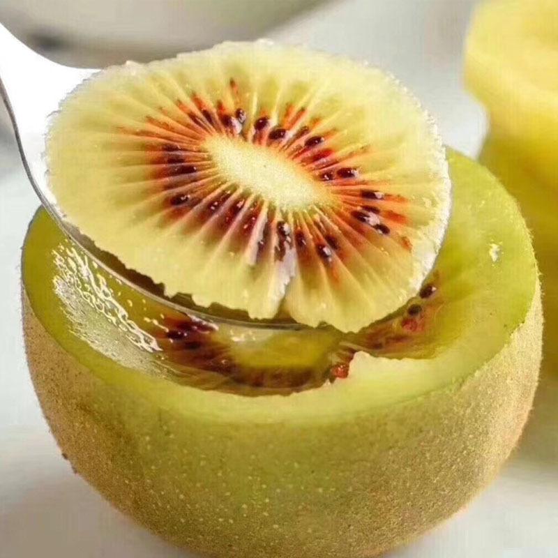 宣传