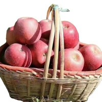 云南昭通丑苹果冰糖心苹果8斤代理一件代发新鲜水果红露苹果