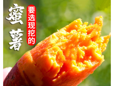 【一件代发】红薯新鲜西瓜红烤板栗蜜薯地瓜番薯批发海南六鳌山东图3