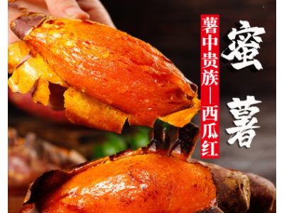 【一件代发】红薯新鲜西瓜红烤板栗蜜薯地瓜番薯批发海南六鳌山东图5