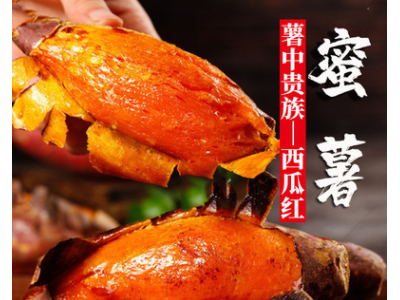 【一件代发】红薯新鲜西瓜红烤板栗蜜薯地瓜番薯批发海南六鳌山东图2