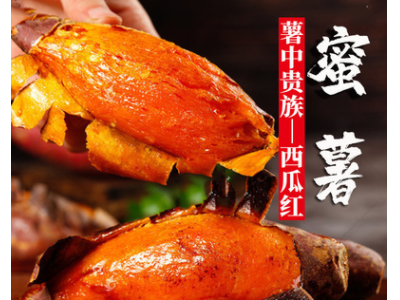糖心蜜薯10斤红薯新鲜西瓜红烤板栗蜜薯地瓜番薯批发海南六鳌山东图4