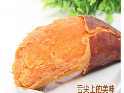 礼盒精装六鳌地瓜六鳌红蜜薯六鳌沙地红薯红心地瓜红番薯一件代发图2