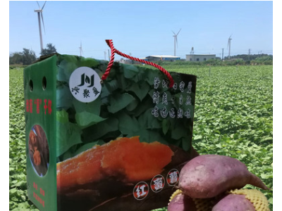 礼盒精装六鳌地瓜六鳌红蜜薯六鳌沙地红薯红心地瓜红番薯一件代发图4