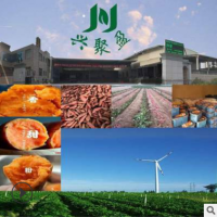 礼盒精装六鳌地瓜六鳌红蜜薯六鳌沙地红薯红心地瓜红番薯一件代发