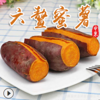 新鲜红薯六鳌红蜜薯六鳌沙地红薯红心地瓜红番薯非板栗薯一件代发