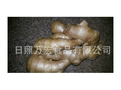 生产工厂供应出口生姜，风干姜，保鲜姜。图5