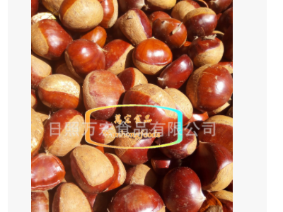 出口保鲜板栗图5