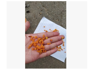 源头厂家生产脱水蔬菜脱水红薯粒红薯丁五谷杂粮宠物仓鼠饲料杂粮图4