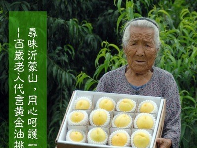 【黄橘油桃】当季鲜果桃味浓郁脆爽多汁5斤顺丰新鲜水果一件代发图5
