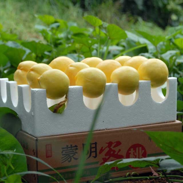 微信图片_20180806153633