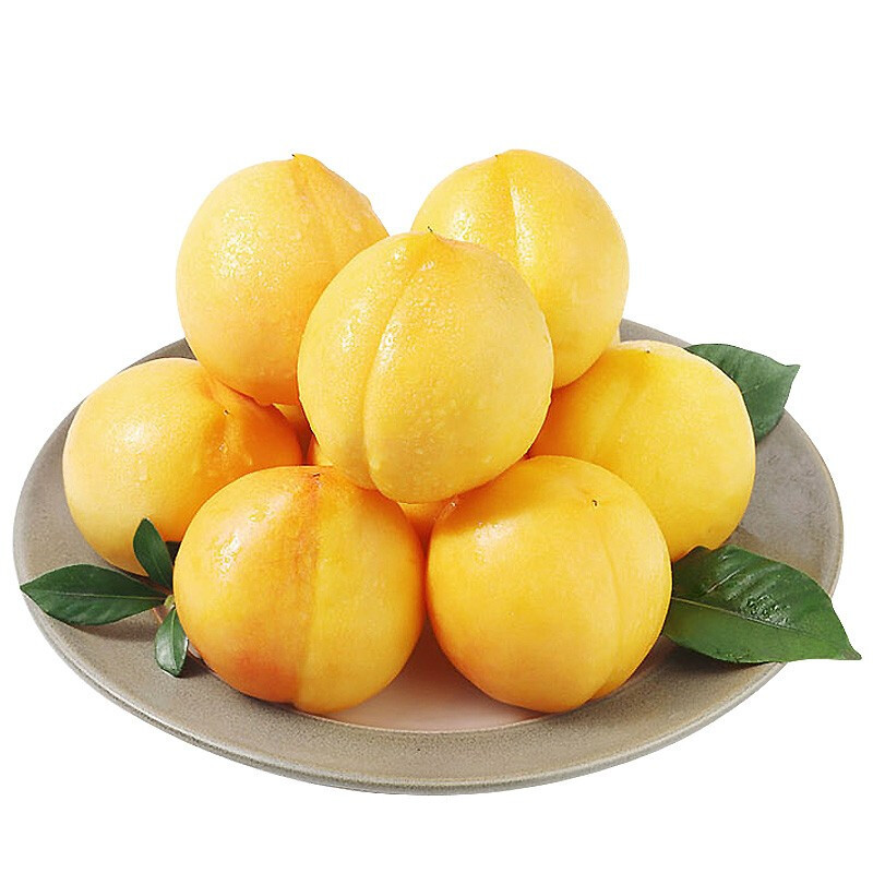 O1CN01qTPDv21bNWDCivrPD_!!2206